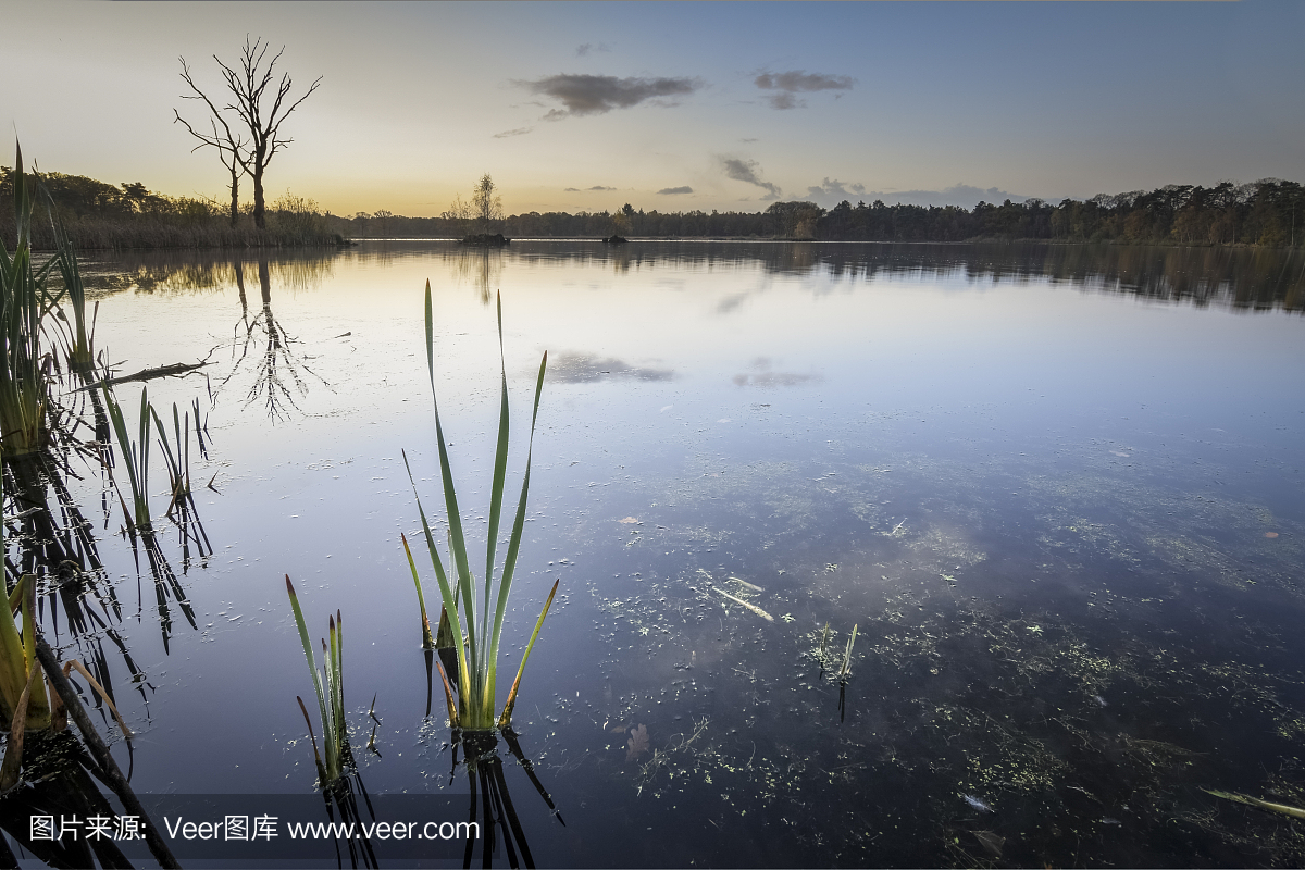 水產(chǎn)養(yǎng)殖過程中亞硝酸鹽之用藥總結(jié)